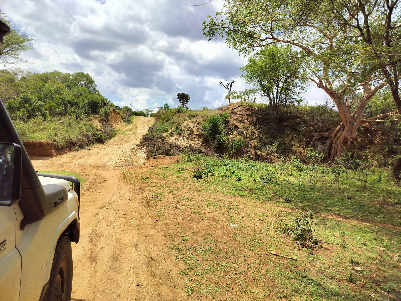 PHOTO-2025-03-26-14-55-38